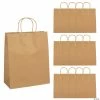 Cheap 😍 10 1/2" x 5 1/4" x 13" Large Brown Kraft Paper Gift Bags - 12 Pc. ✔️