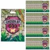 Promo ❤️ 12 1/2" x 17" Bulk Treasure Hunt VBS Plastic Goody Bags - 50 Pc. 👍