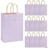 Top 10 😍 6 1/2" x 9" Medium Lilac Kraft Paper Gift Bags - 12 Pc. ❤️