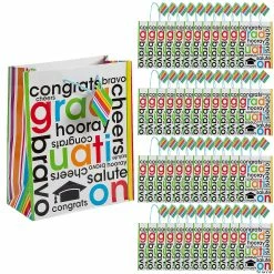 Wholesale ✨ 9" x 7 1/2" Medium Cheers to the Grad Paper Gift Bags - 60 Pc. 🤩