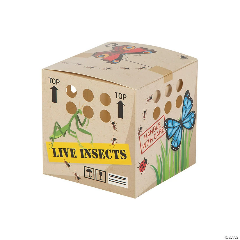 Hot Sale ⭐ Backyard Adventure Favor Boxes - 12 Pc. ✔️ 1 Hot Sale ⭐ Backyard Adventure Favor Boxes - 12 Pc. ✔️