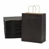 Top 10 😉 Prime Line Packaging- Black Paper Gift Bags with Handles for All Occasions 50 Pcs 10x5x13 🎁
